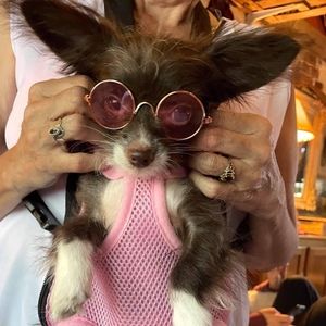 Meet your Posher, Kandice